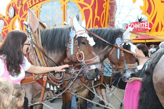 Galerie Foto Oktoberfest 2012 - Picture 18 of 92